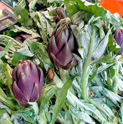 La Delizia 2 Frutta e Verdura