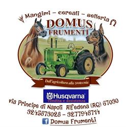 Domus Frumenti di Persia Mariafrancesca