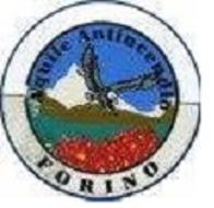 Protezione Civile Forino "aquile Antincendio"