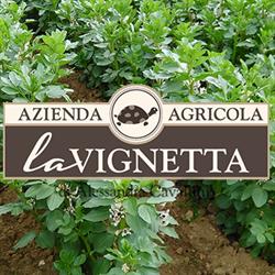 Azienda Agricola La Vignetta