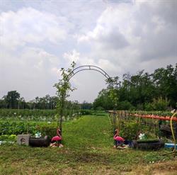 Al Giardino Segreto