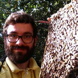 Apicoltura Teramama
