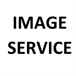 Image Service