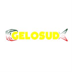 Gelo Sud Alimenti Surgelati