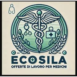 Ecosila Srl