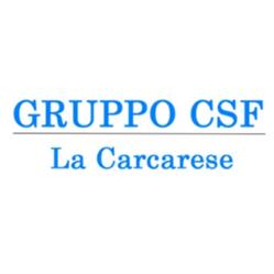 Gruppo Csf - La Carcarese