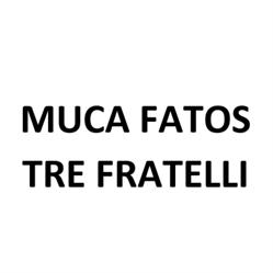 Muca Fatos Tre Fratelli