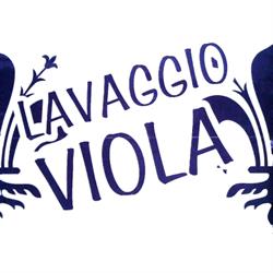 Autolavaggio Viola