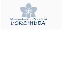 L'Orchidea da Mimma