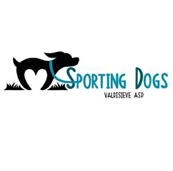 Sporting Dogs Valdisieve