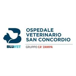 Ospedale Veterinario San Concordio - Pronto Soccorso Veterinario H24 - BluVet