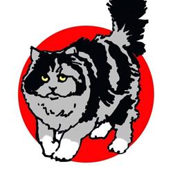 Gattile di Carpi