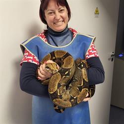 Ambulatorio Veterinario Toscano Simona