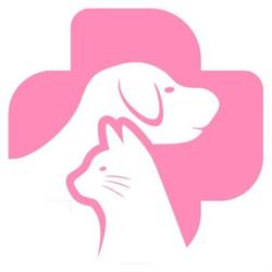 Ambulatorio Veterinario dott.ssa Fiorella Messaggeri
