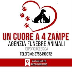 Un Cuore a 4 Zampe