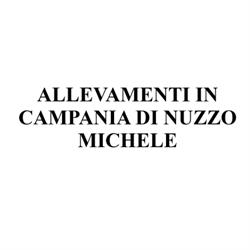 Allevamenti in Campania