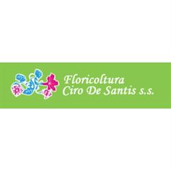 Floricoltura Ciro De Santis S.S. Societa' Agricola