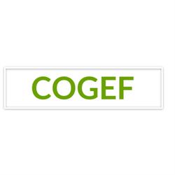 Cogef srl