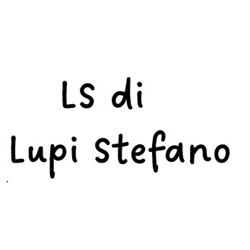 LS di Stefano Lupi