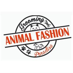 Animal Fashion Paradise