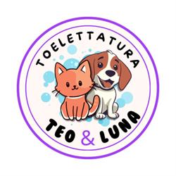 Toelettatura Teo e Luna