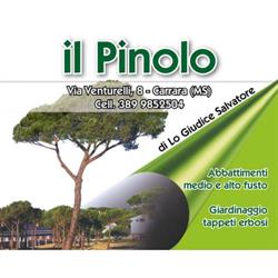 Il Pinolo Giardinaggio
