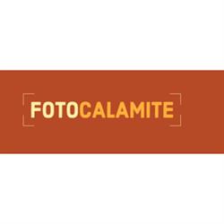 Fotocalamite
