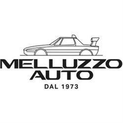 Melluzzo Auto dal 1973
