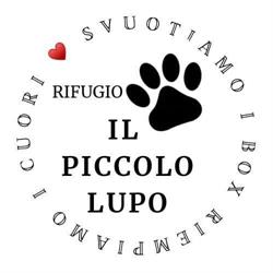 Rifugio piccolo lupo