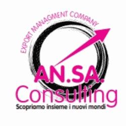 An.Sa Consulting
