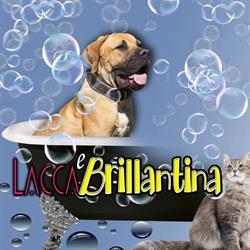Lacca e Brillantina