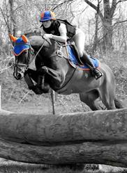 I Cavalieri dell'Ascia