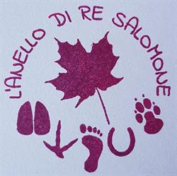 L'Anello di Re Salomone