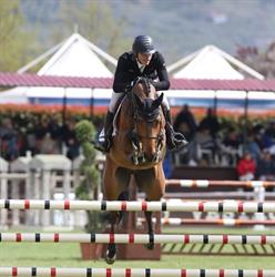 NEA HORSE FARM ASD