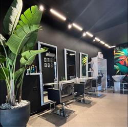 VISION HAIR STYLE