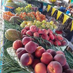 Frutta E Verdura La Rotonda Di Albino E Anna