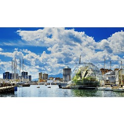 Consulente SEO Genova - Marketing al Mare