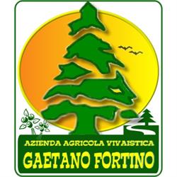 Vivaio Gaetano Fortino - Progettazione aree verdi e giardini