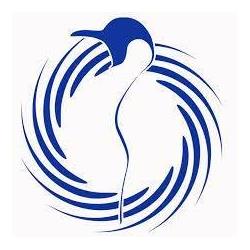 Pinguino Nuoto Avezzano