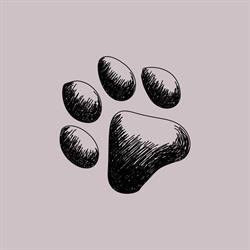 Anima Pura - Pet Shop e Toelettatura