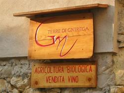 Terre di Gnirega