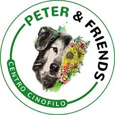 Centro cinofilo Peter & Friends