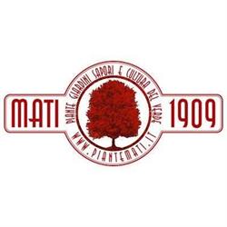Piante Mati dal 1909