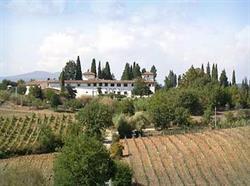 Villa I Lami - Fattoria
