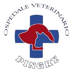 Ospedale Veterinario Pingry