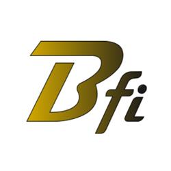 B.F.I. Abbigliamento da lavoro e protezione individuale
