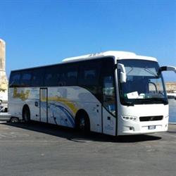 Paolo Bus Di Tonarelli & C. Snc
