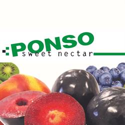 Ponso Frutta