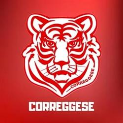 Associazione Calcio Dilettantistica Correggese