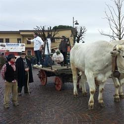 Gazzurelli Macchine Agricole